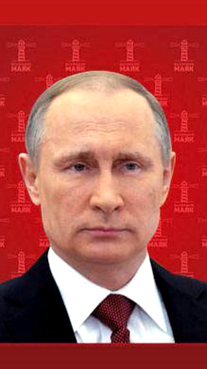 Путин и Мирзиеев обсудили сотрудничество в энергетике и стратегическое партнерство