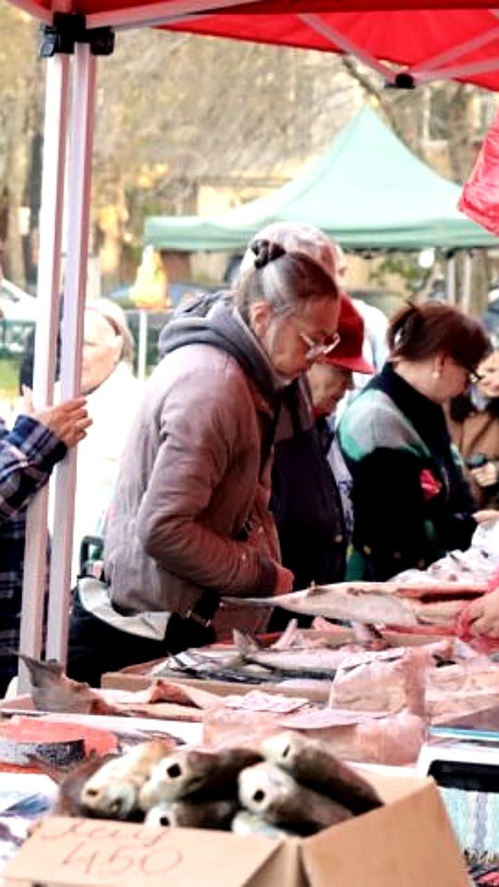 Инспекторы Россельхознадзора проводят проверки на ярмарках и в образовательных учреждениях Запорожской области и Крыму