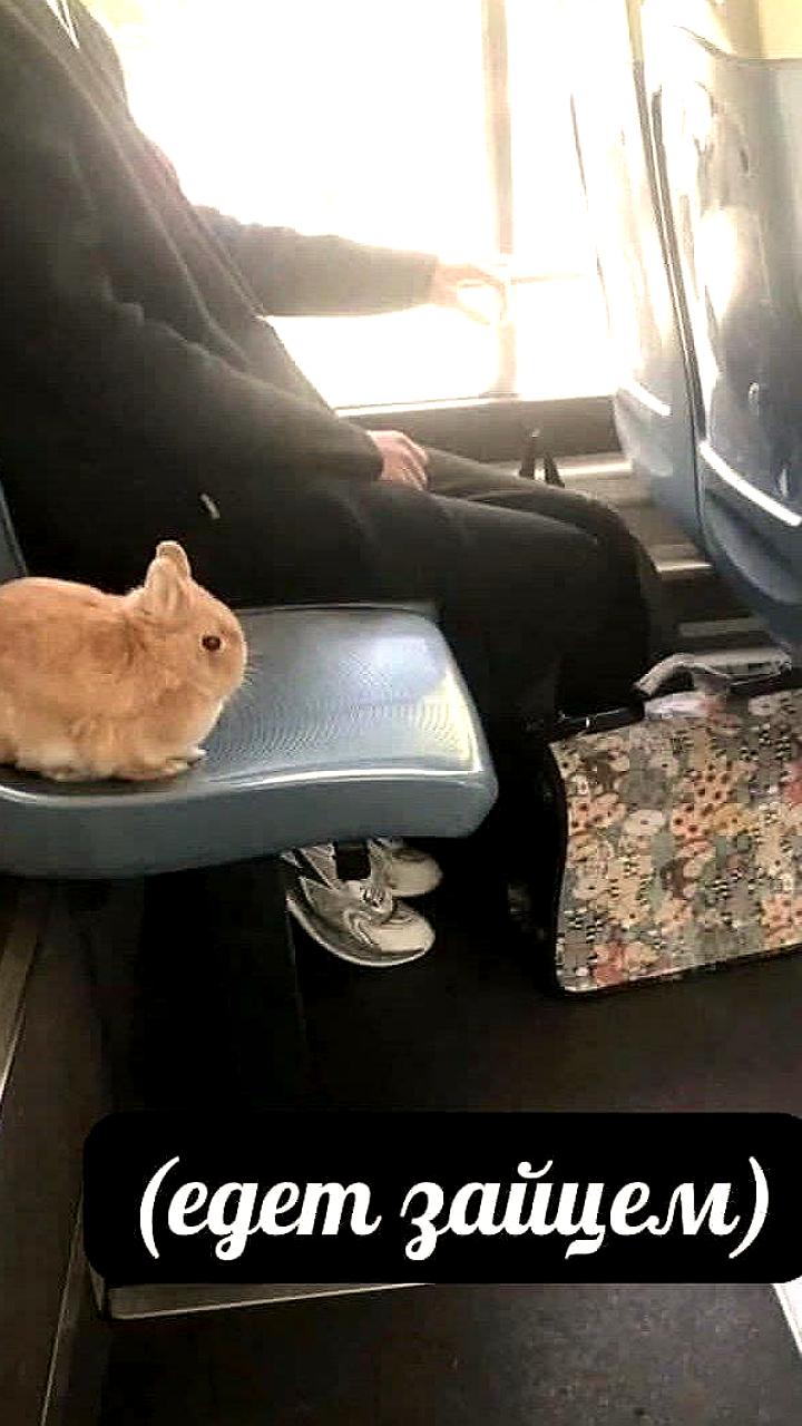 В Рязани тестируют новый способ оплаты проезда в автобусах через СБП