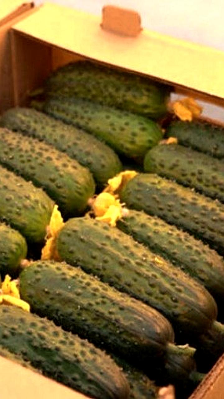 Россельхознадзор выявил нарушения в применении агрохимикатов на Дальнем Востоке