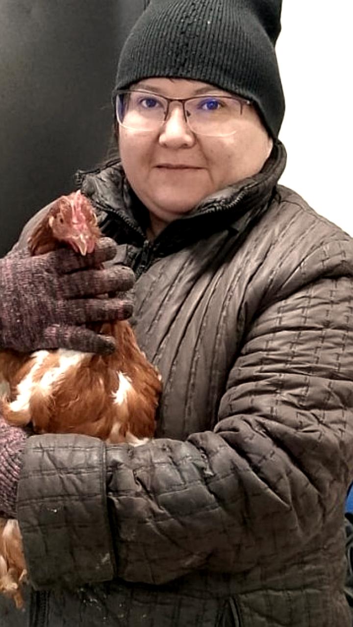 Ветеринары Забайкалья и Иркутской области помогают диким и домашним птицам