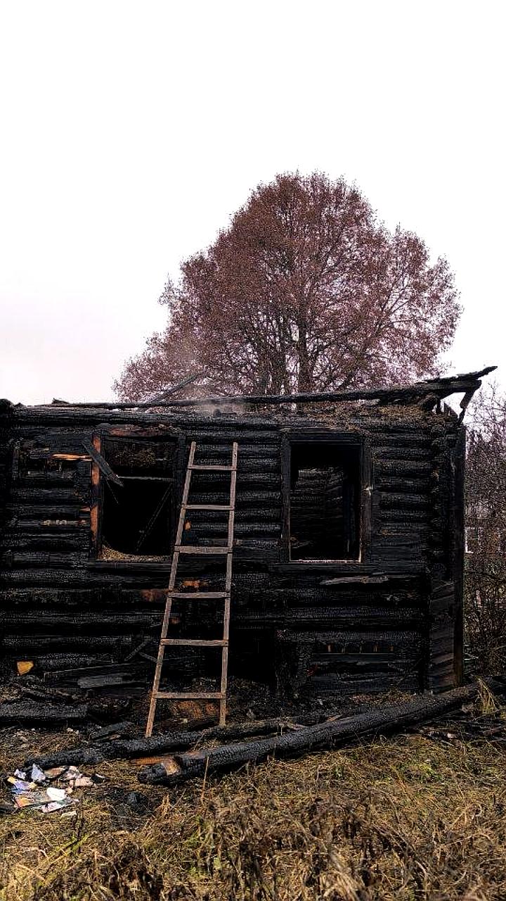 Проверка по факту гибели мужчины при пожаре в Локнянском районе