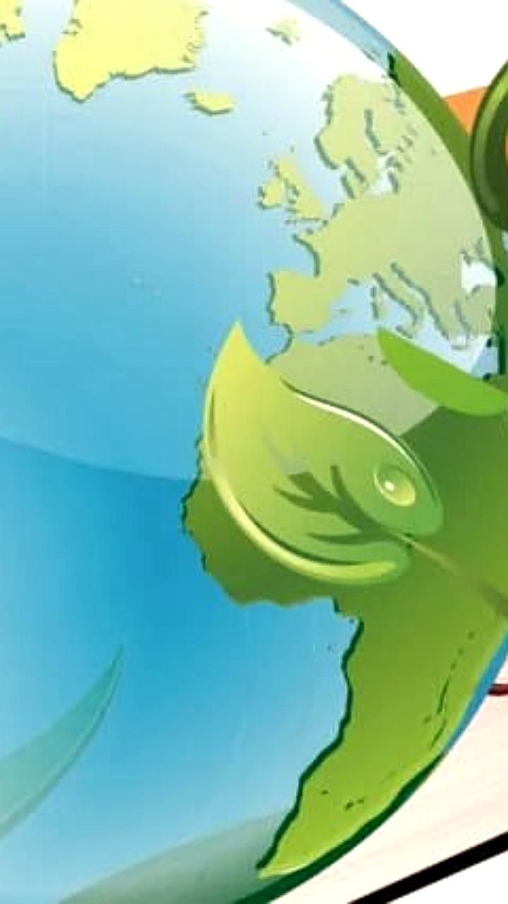 В Архангельске и Забайкалье развивают экологическое образование через конкурсы и проекты