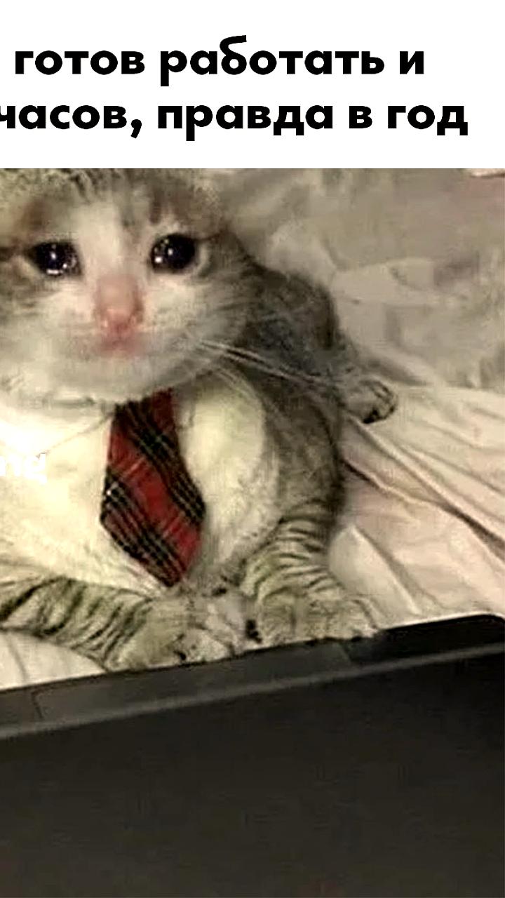 Анализ рабочего времени: как страны мира справляются с балансом труда и отдыха