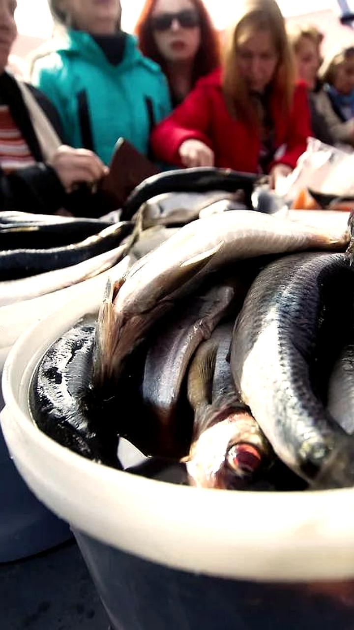 Рост цен на морепродукты в России: проблемы с доступностью и экспортом