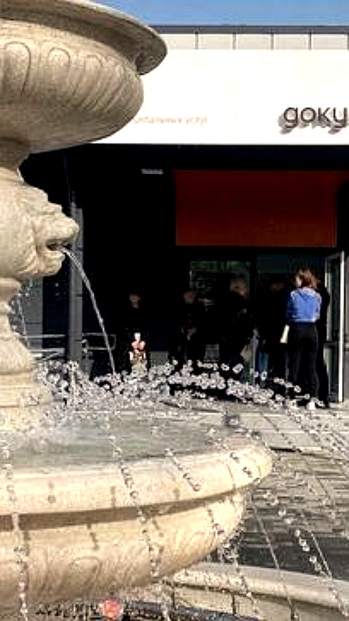 Горячая линия Росреестра: консультации по вопросам ареста недвижимости 12 ноября