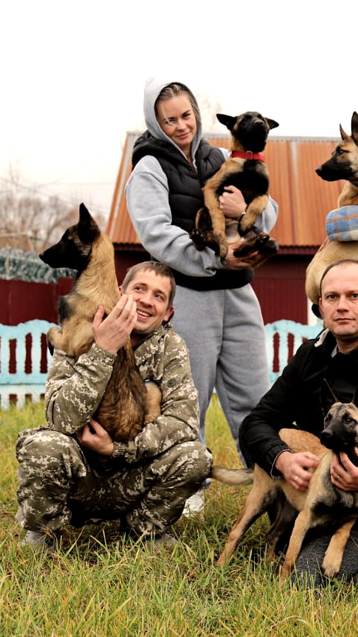 УФСИН России передает щенков малинуа в территориальные органы