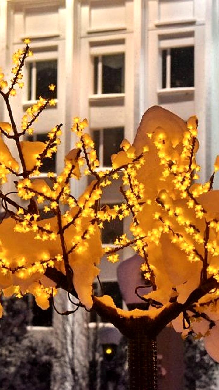 Магадан готовится к Новому году: украшение города началось