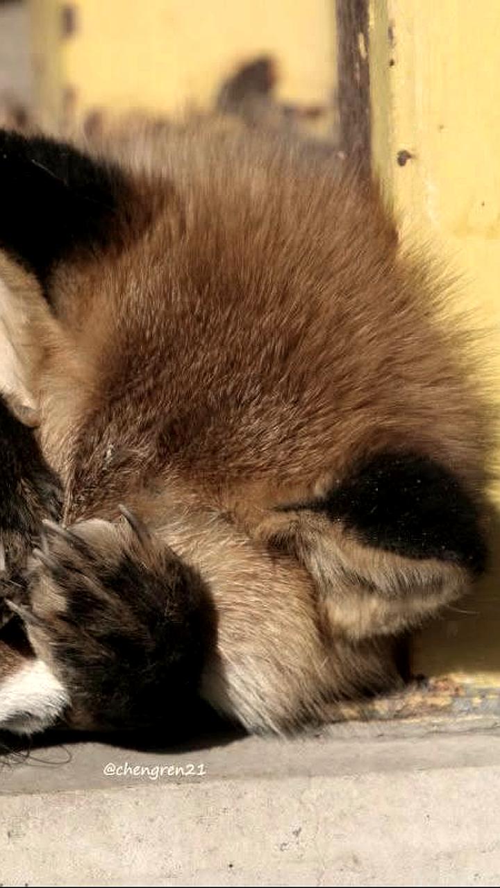 Исследование: 41% россиян испытывают упадок энергии осенью из-за погодных условий