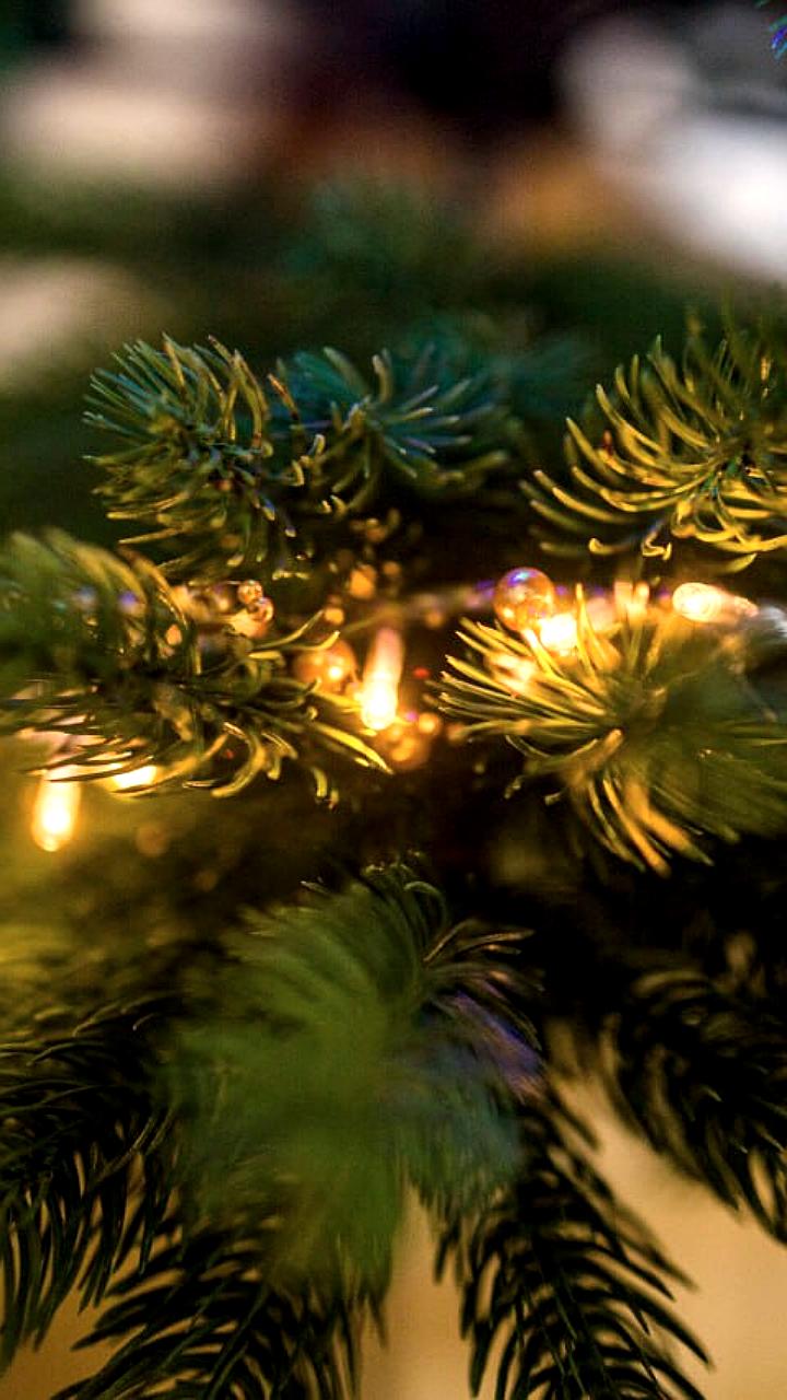 В Барнауле объявлен конкурс на лучшую новогоднюю игрушку