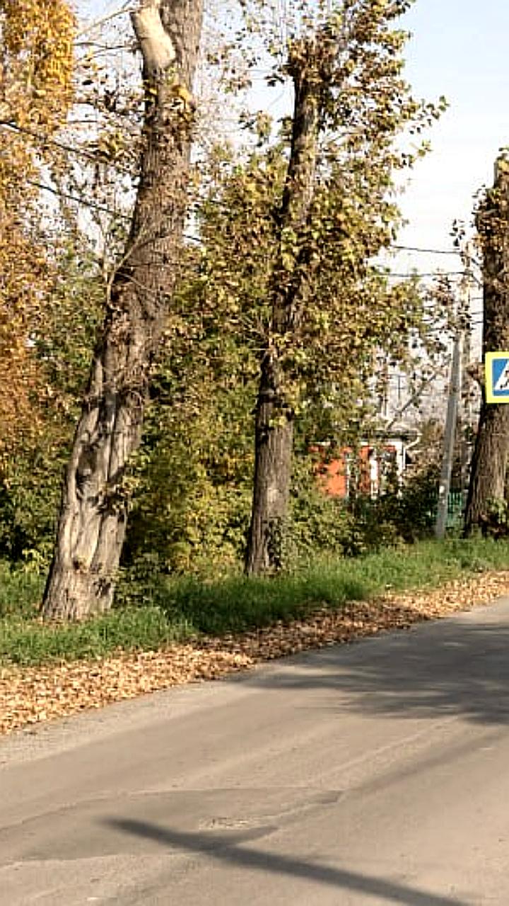 Начало дорожных работ в Кемерове и завершение на Втором Садовом кольце