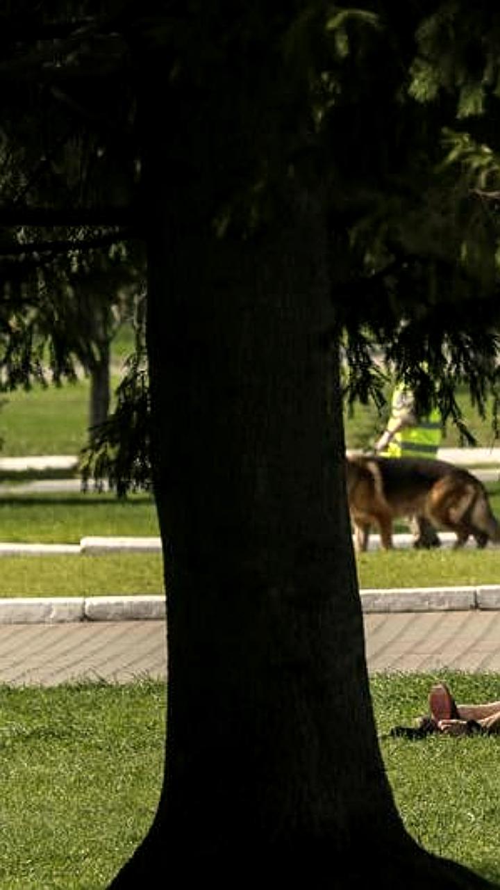 В Екатеринбурге открыт сквер имени Ильи Кормильцева