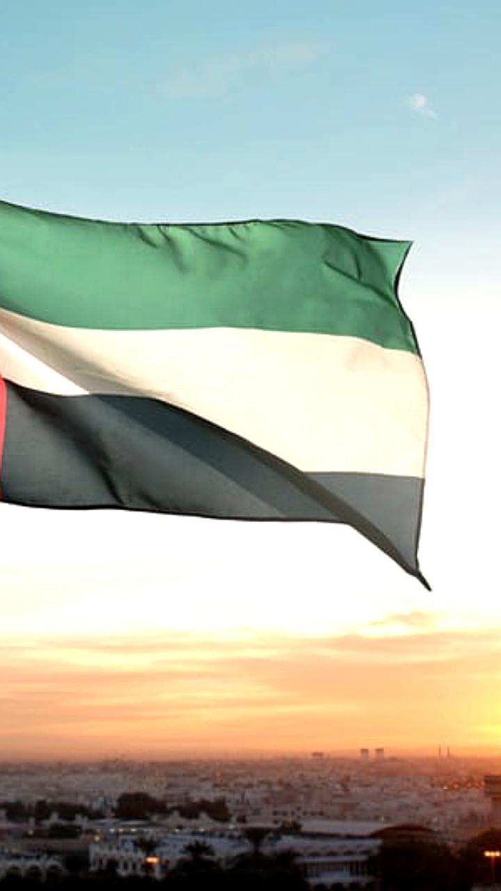 Минфин РФ предлагает исключить ОАЭ из перечня офшоров с 2026 года