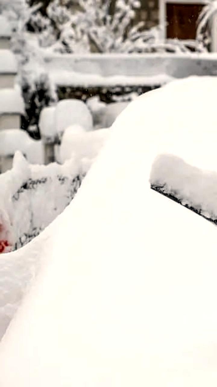 Новая система электрического удаления льда обещает снизить затраты на защиту транспортных средств