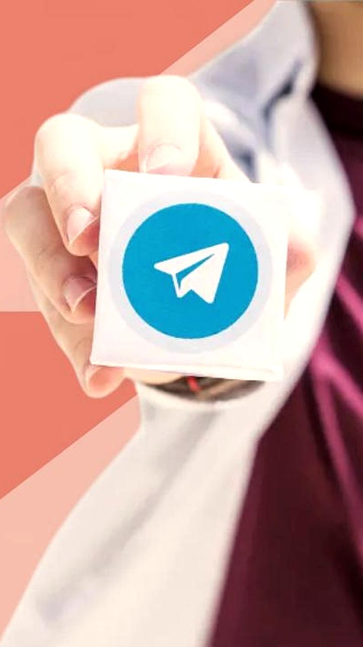 Реклама в Telegram: рост заказов на образовательные каналы на 43% в третьем квартале