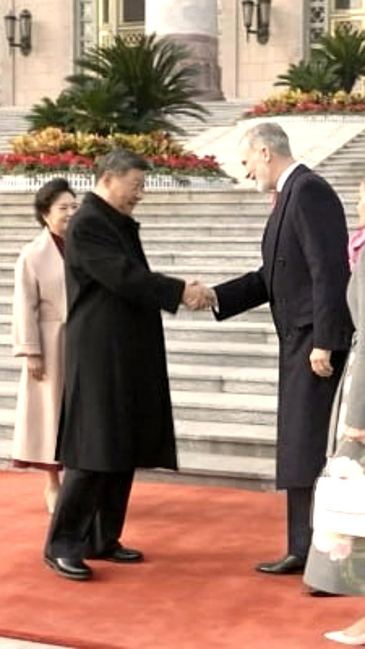 Си Цзиньпин поздравил Кэтрин Коннолли с вступлением в должность президента Ирландии