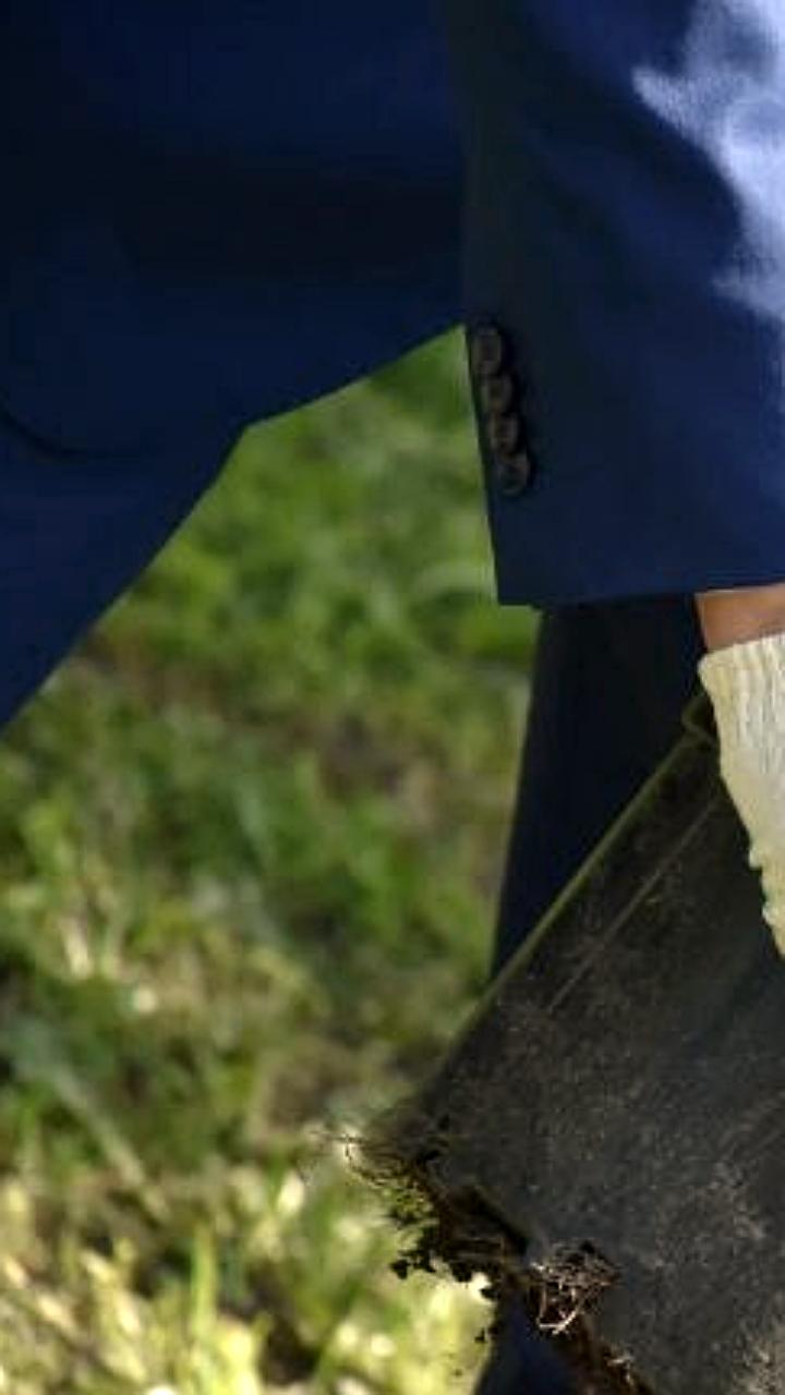 В Туле высадят 186 деревьев вдоль веломаршрута Лев Толстой