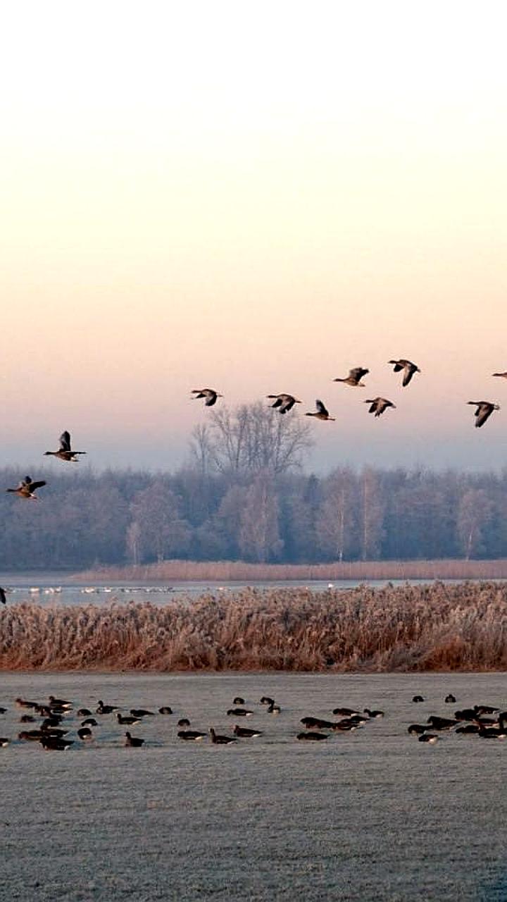 Губернатор Ирина Гехт инициировала отмену запрета на охоту в 15 км прибрежной зоне НАО
