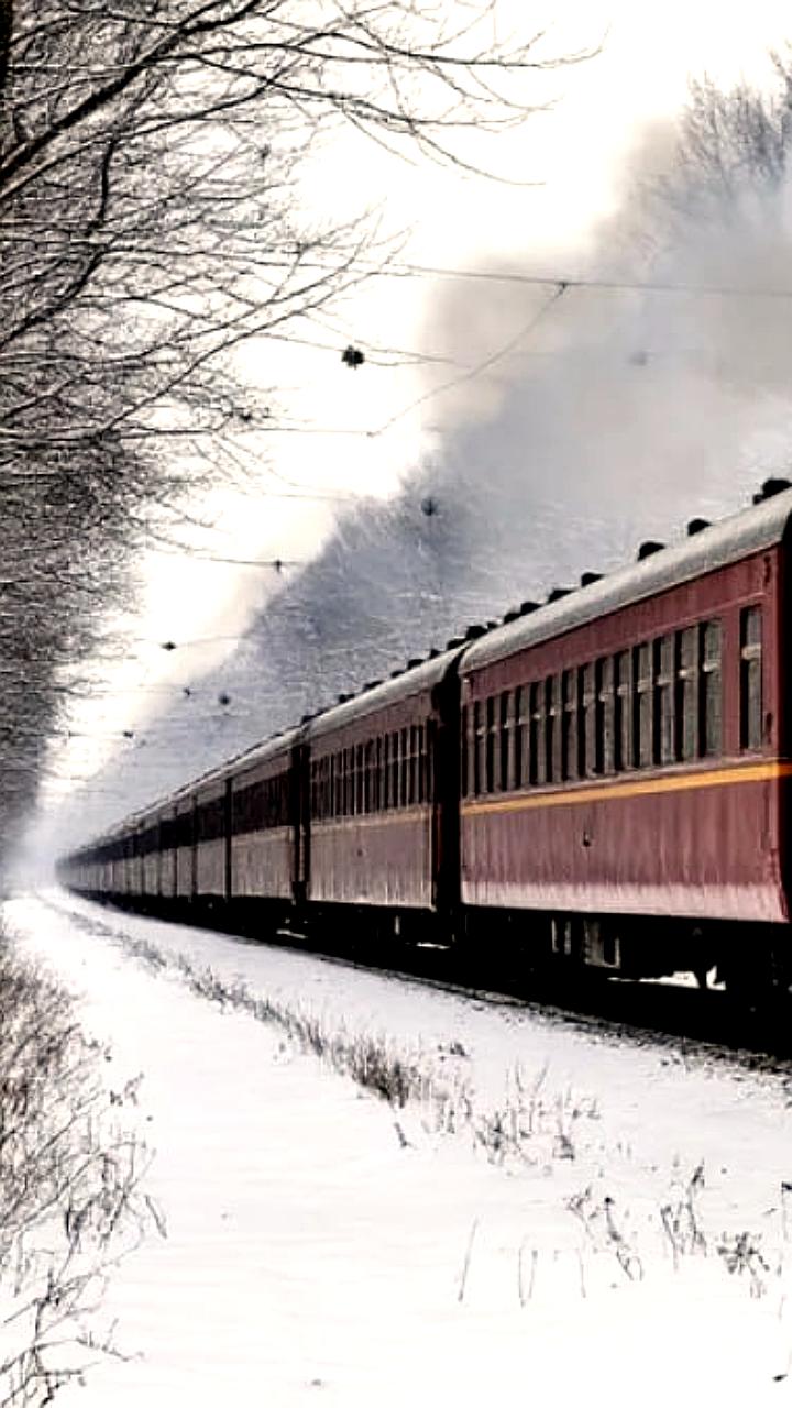 В Сосновке завершены плановые работы на железнодорожных путях без происшествий