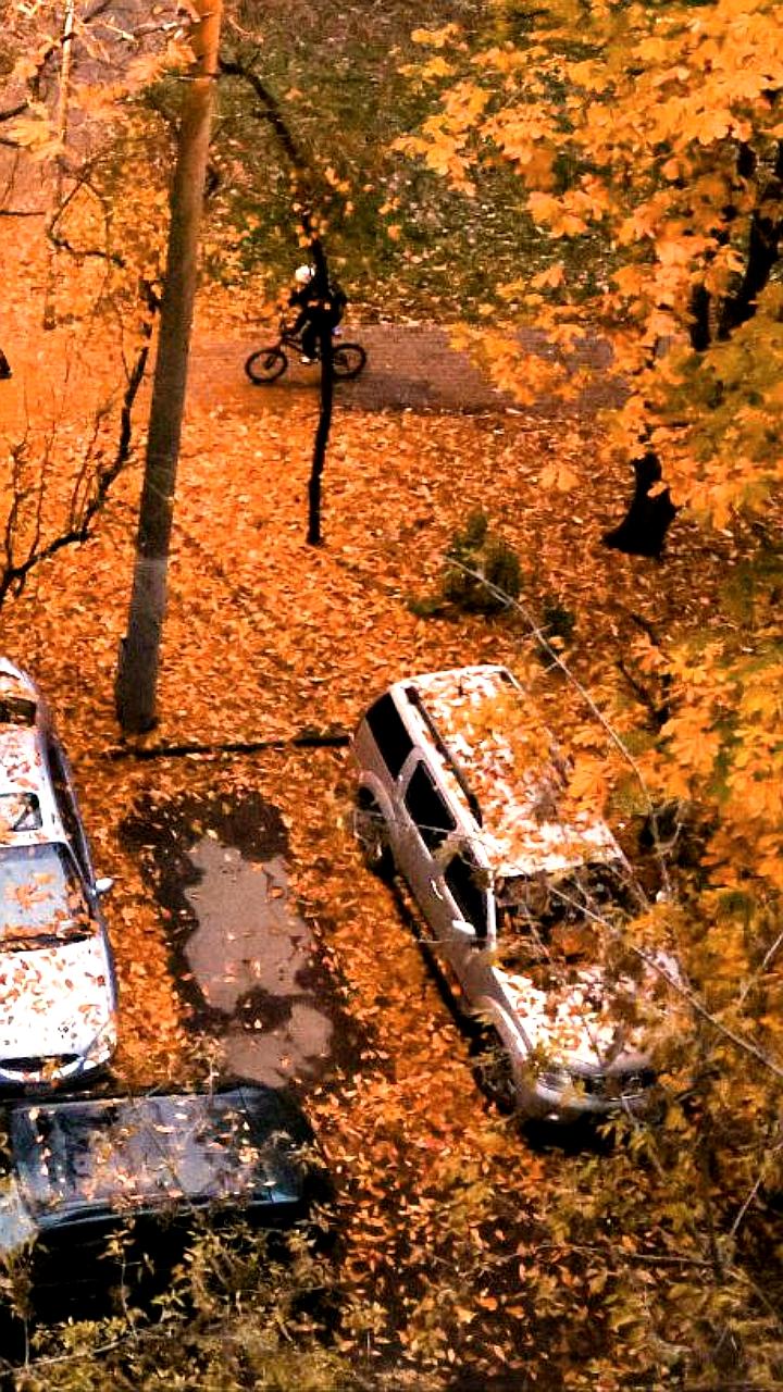 Автостат сообщает о росте сроков владения легковыми автомобилями в России