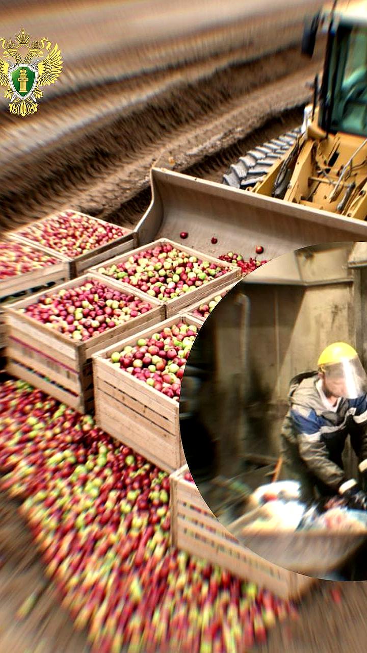 Верховный суд рассмотрит дело Ильского НПЗ о доначислении пошлин