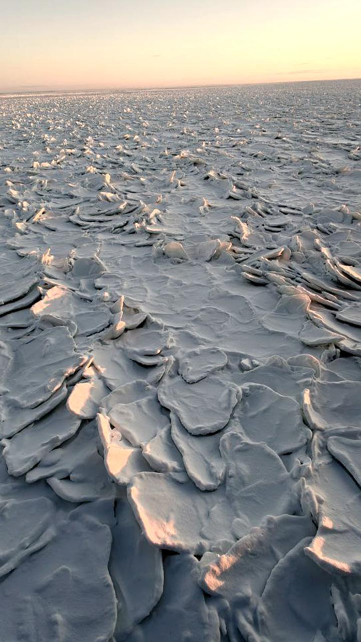 Необычный чешуйчатый лед в Енисейском заливе