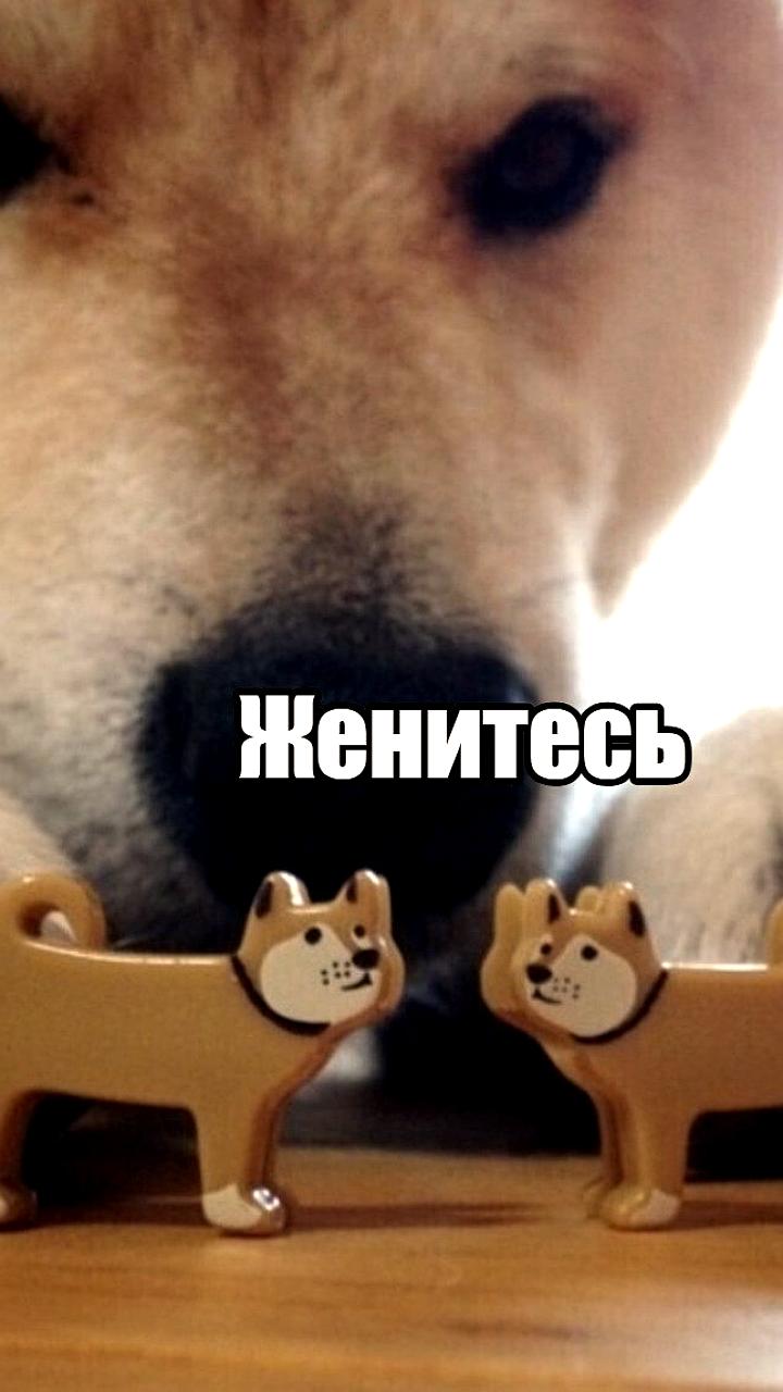 В России предложен реестр холостяков для поддержки рождаемости