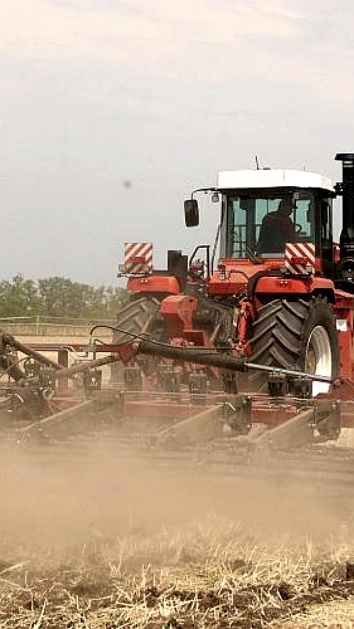 В Константиновском районе Ростовской области введен режим ЧС из-за засухи