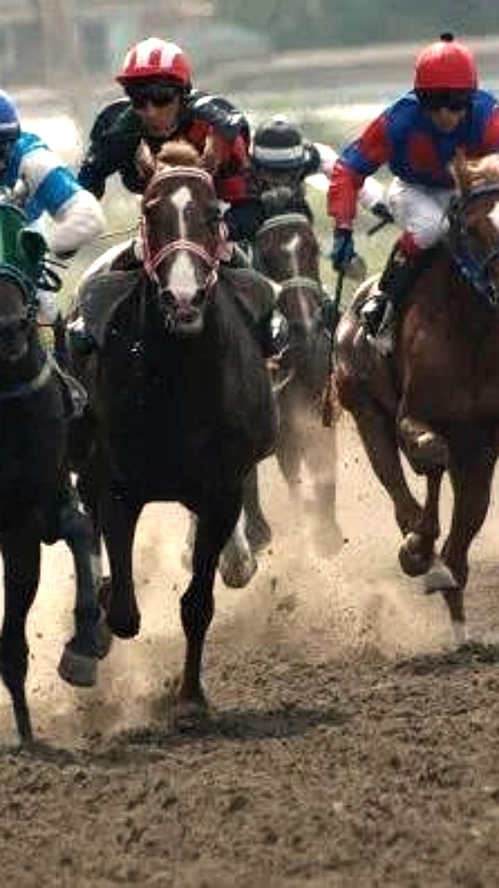 Минимущества Ростовской области оспаривает изменение назначения земель ипподрома