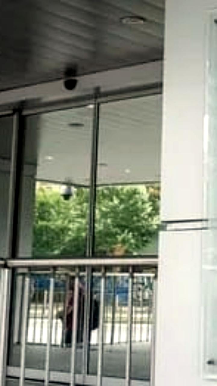 Великобритания выдала разрешение на ведение бизнеса Лукойл в Болгарии