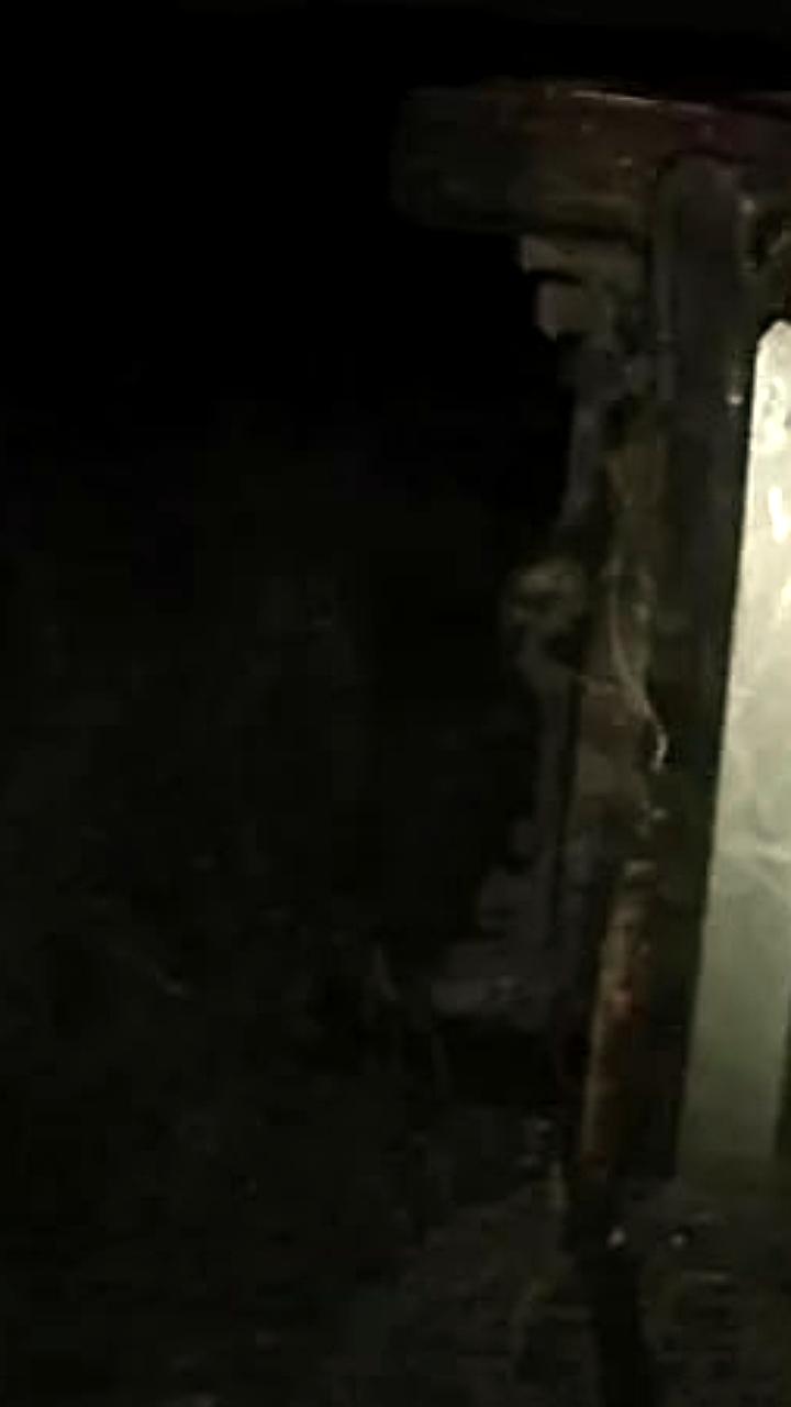 ДТП во Владивостоке: легковушка врезалась в кафе, один погибший и четверо пострадавших