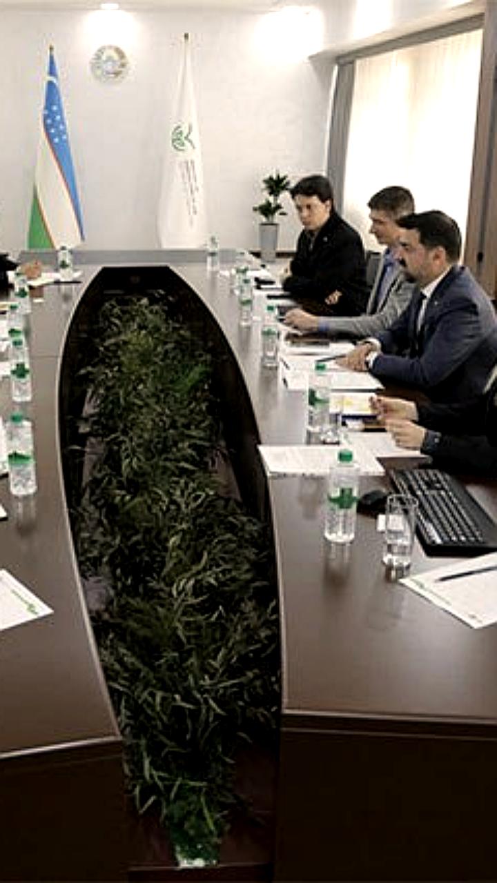 Фонд Сколково и Узбекистан обсуждают применение искусственного интеллекта