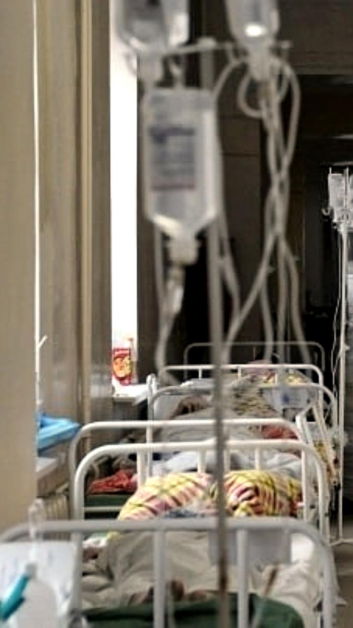 Вспышка лихорадки Марбург в Эфиопии: шесть смертей и контроль Роспотребнадзора