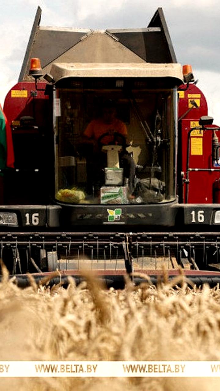 Александр Лукашенко поздравил работников АПК с рекордным урожаем