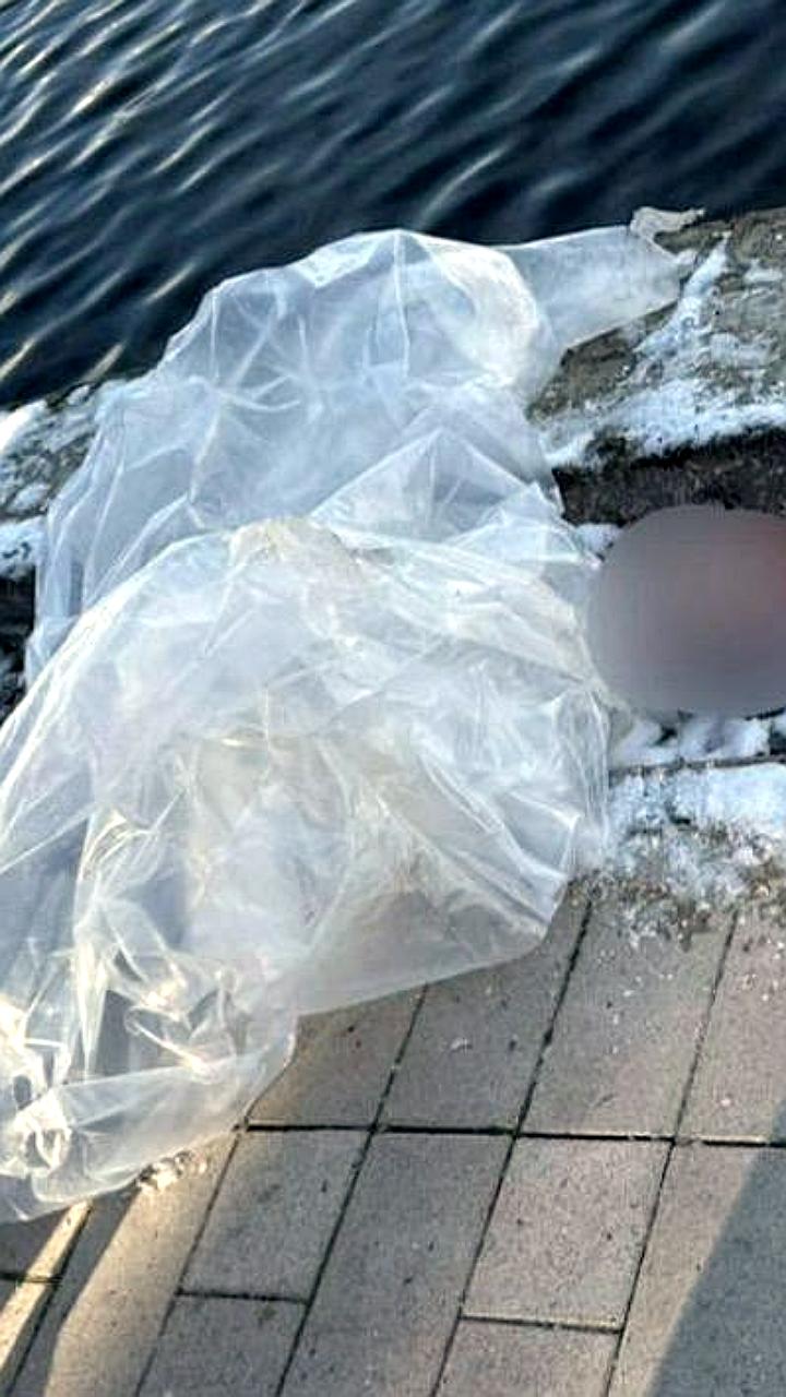 В Москве найден пакет с останками ребенка, возбуждено уголовное дело