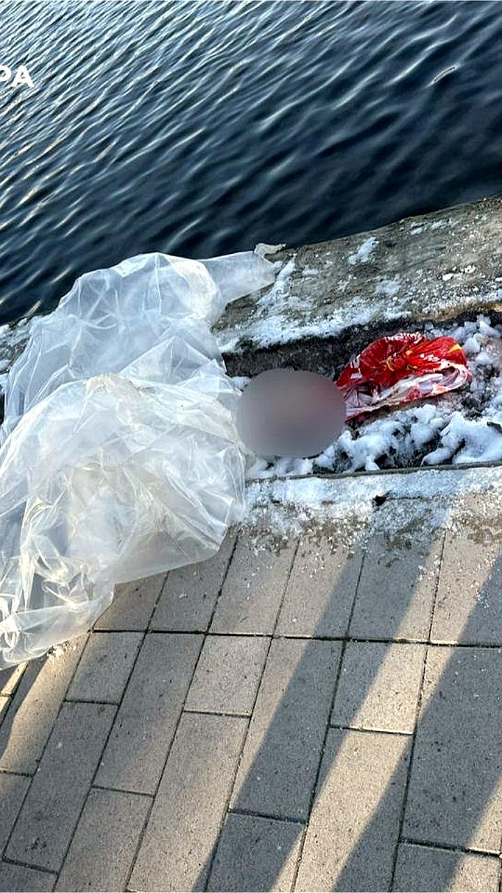 В Гольяновском пруду в Москве найдены человеческие останки