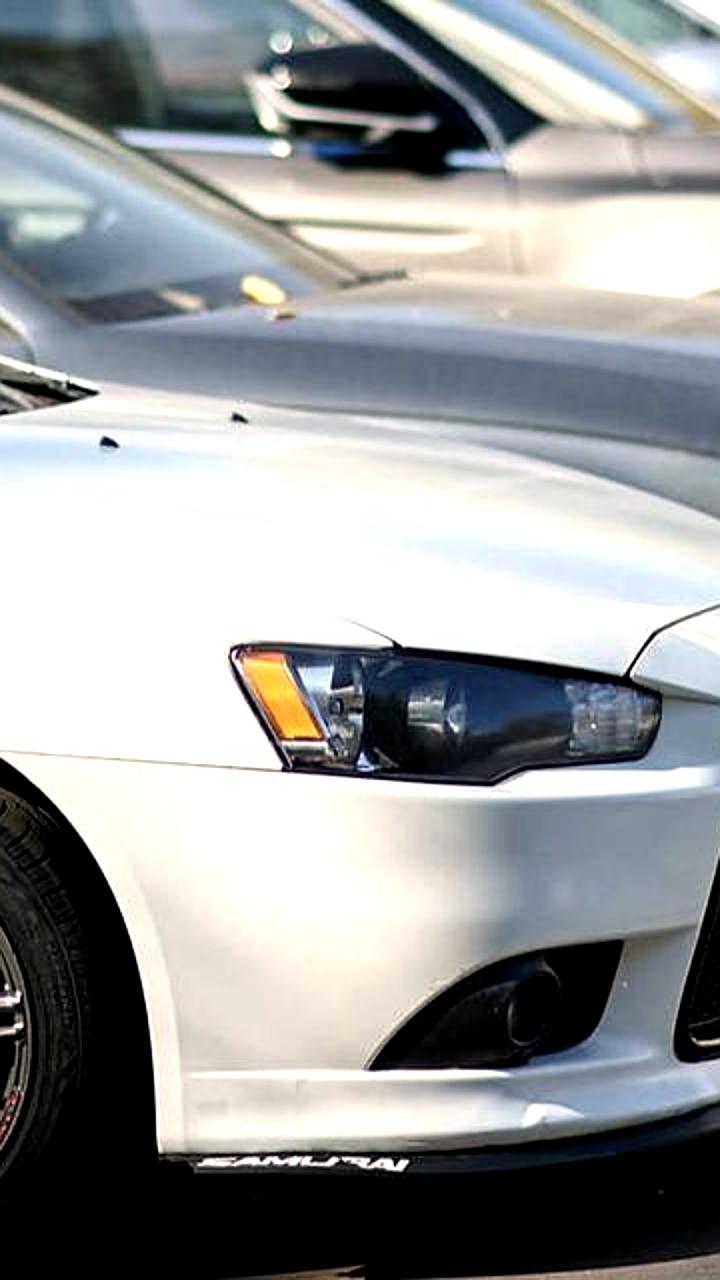 Как избежать травм бездомных животных при запуске автомобилей в холодное время года