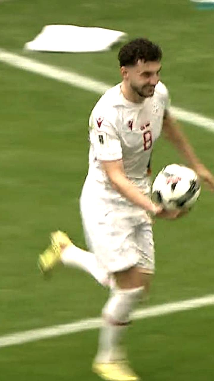 Ирландия выходит в плей-офф после победы над Венгрией, Португалия разгромила Армению