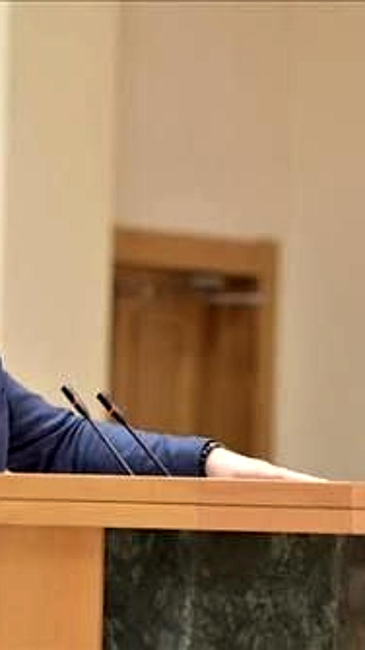 Грузия отменяет голосование за границей для граждан, заявил спикер парламента