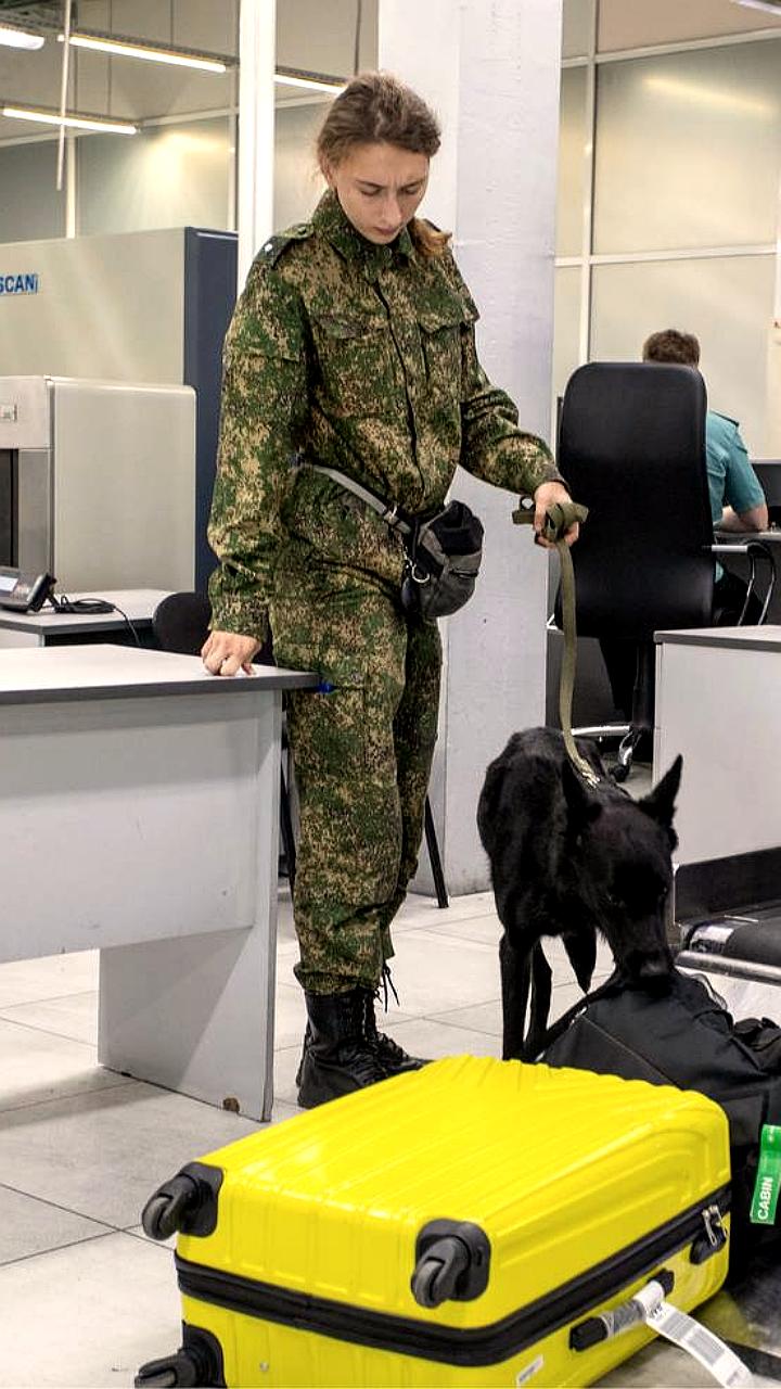 Рост авиасообщения между Сибирью и Китаем: более 200 рейсов за два месяца