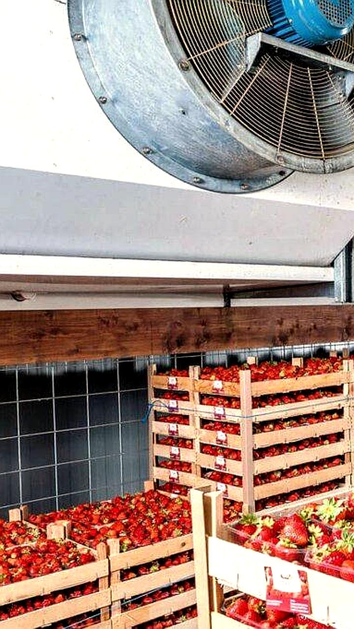 Спрос на холодную логистику в России увеличился на 40%