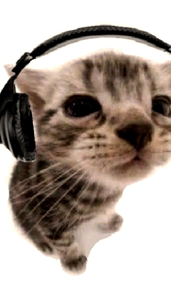 В Казанском Кремле установлен стереоскоп для просмотра исторических видов улицы Шейнкмана