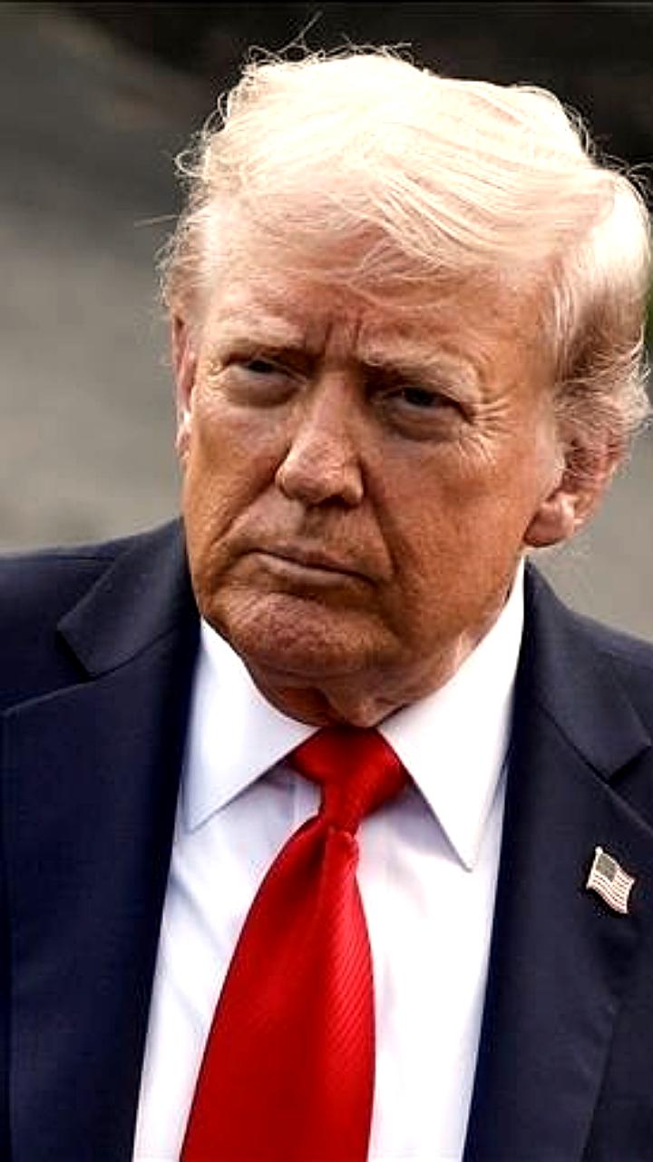 Совбез ООН поддержал план США по сектору Газа