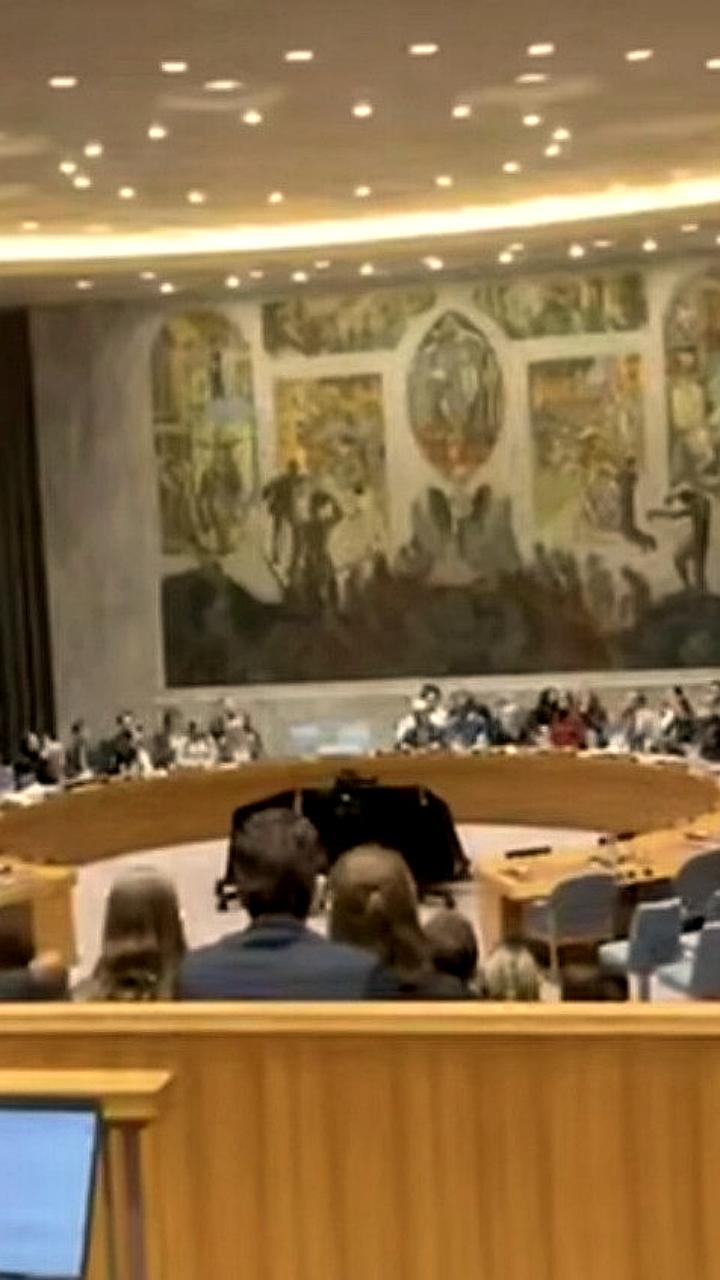 Совбез ООН поддержал американский план по Газе с созданием временного органа управления