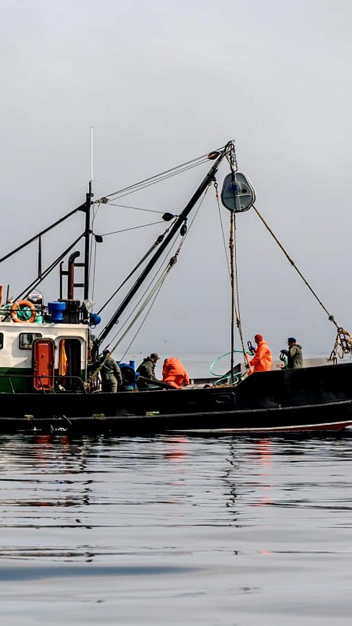 Мишустин озвучил поручения по развитию рыбохозяйственного комплекса