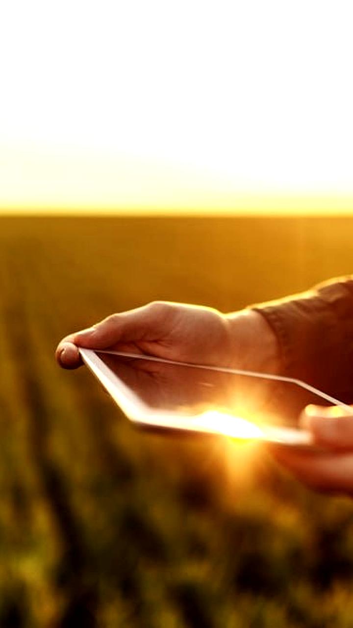 В России разрабатывают роботизированного агронома к 2029 году