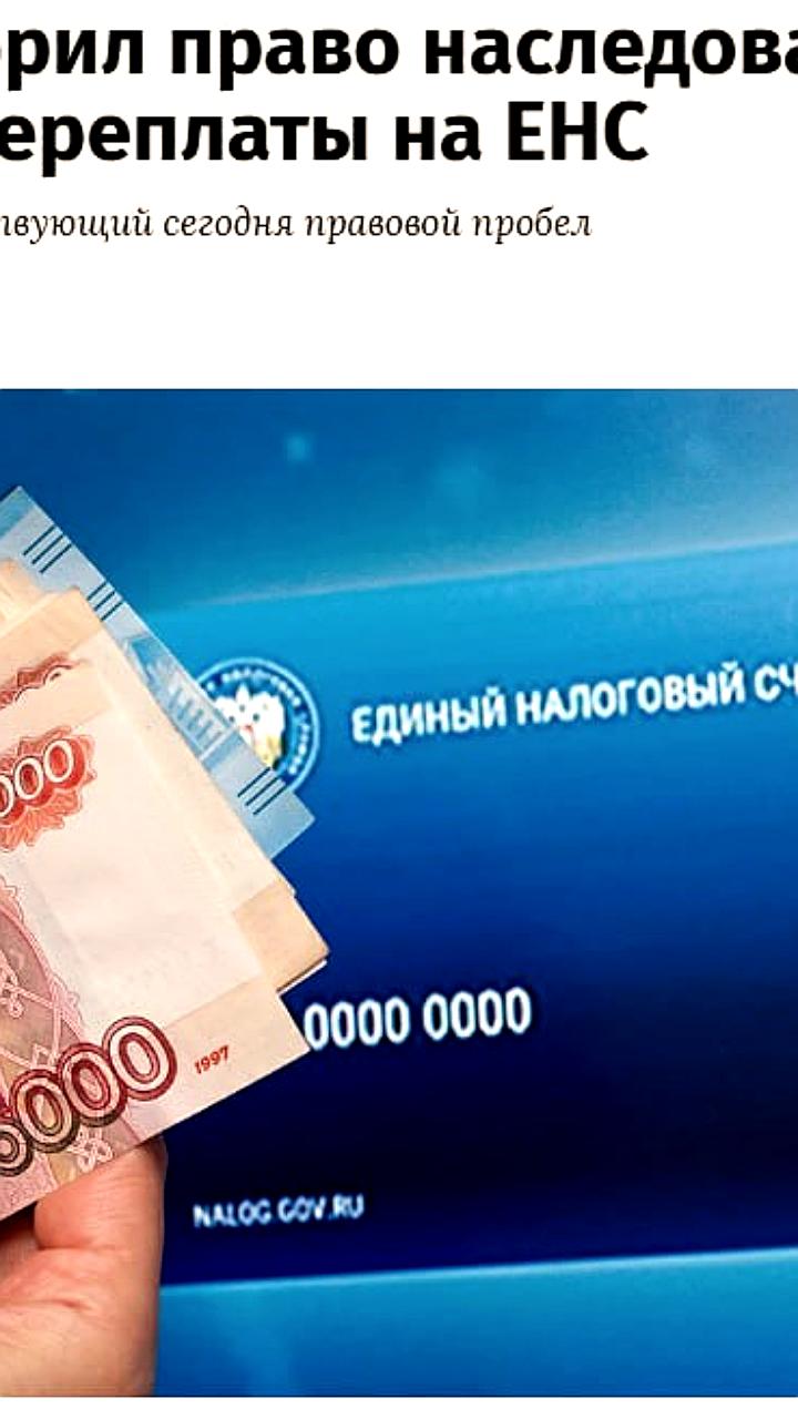 Правительство одобрило поправки о наследовании налоговых переплат на ЕНС