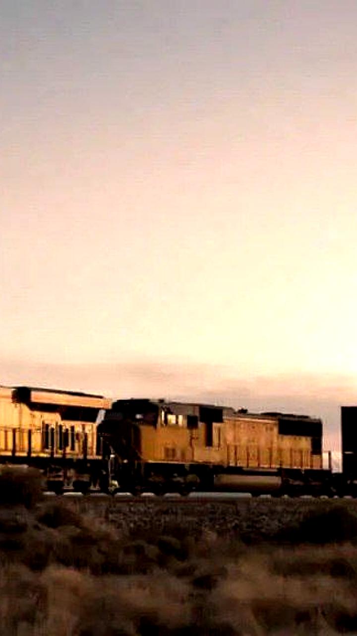 Развитие транспортного коридора Север-Юг: новые возможности для торговли с Африкой