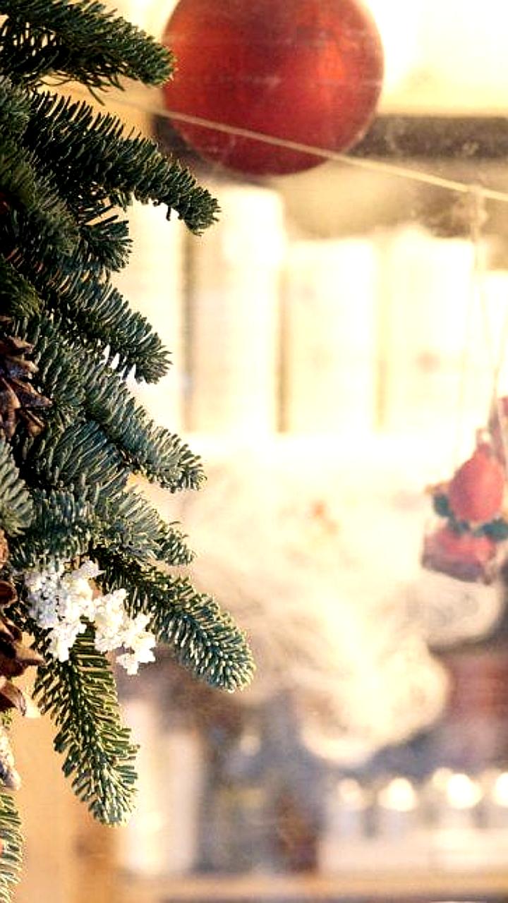 Рождественские ярмарки в Минской области стартуют 20 декабря