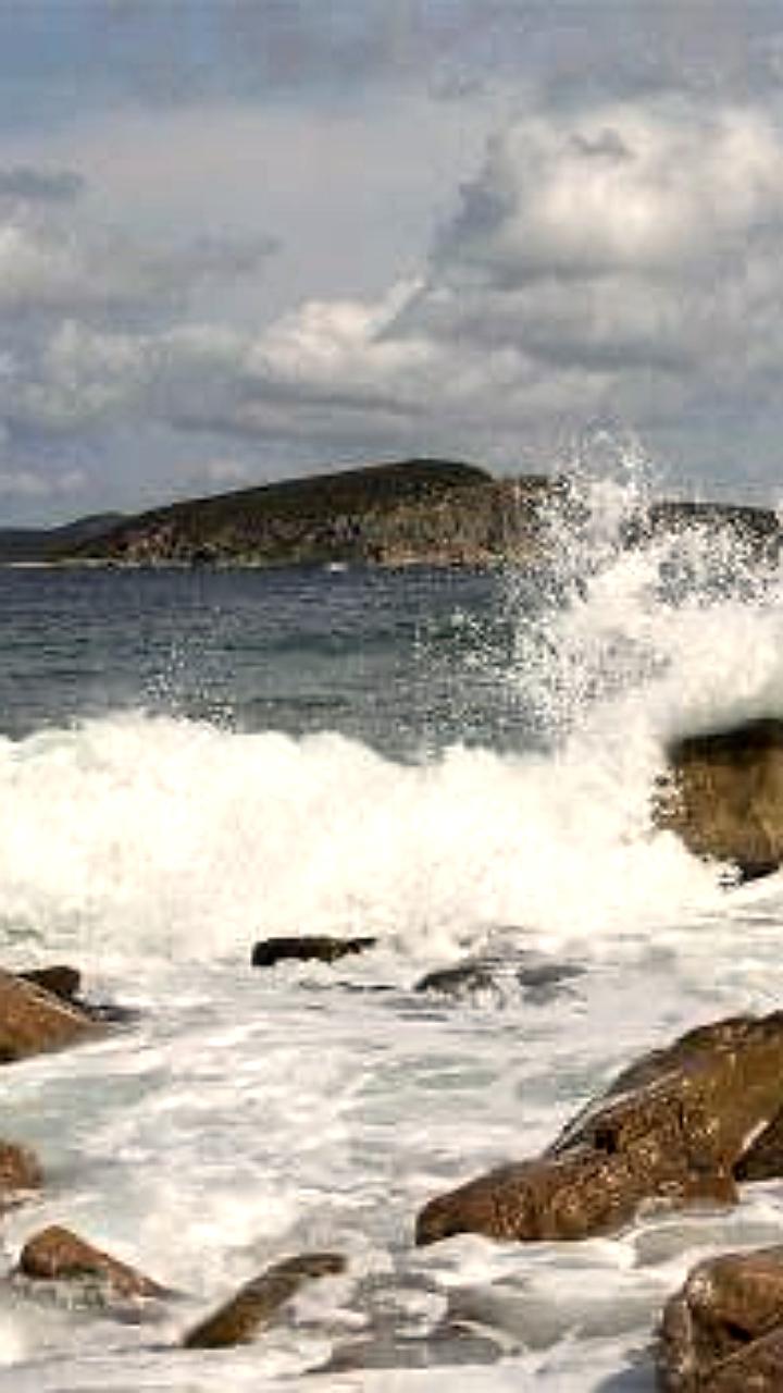 Трагедия в порту Бухта Троица: докер погиб при погрузке груза